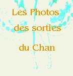 tu t'es vu(e) quand tu es de sortie ?
